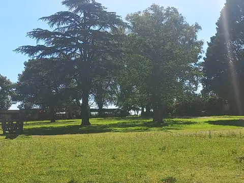 avenida mitre e isla belgrano Fatima