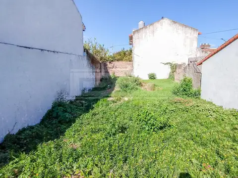 Terreno en Alquiler 8  mts Frente