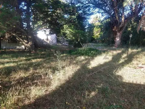 Quinta en Venta en Lisandro Olmos Etcheverry, USD 85.000