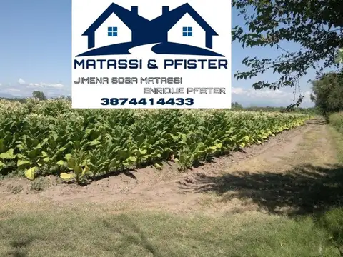 Campo en Venta Agrícola