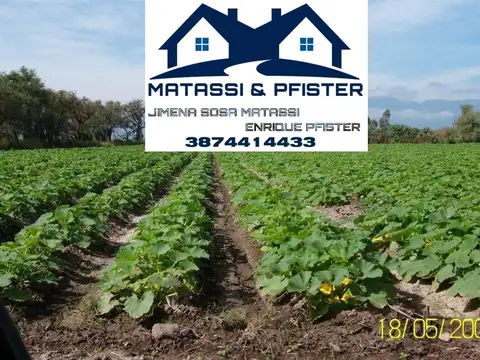 Campo Productivo Pampa Blanca Jujuy