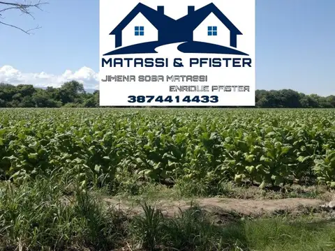 Ruta 34 Pampa Blanca Jujuy