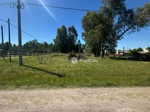 Terreno - Venta - Argentina, Brandsen