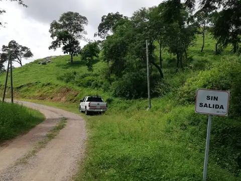 Vaqueros Lote 77 P Martin Schmidt