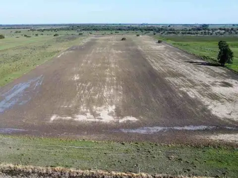 CAMPO mixto en Arroyo Ceibal (Santa Fe)