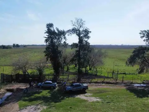 CAMPO mixto en Arroyo Ceibal (Santa Fe)