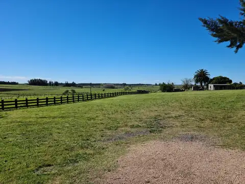 Venta Chacra con Gran Infraestructura en Ruta 11