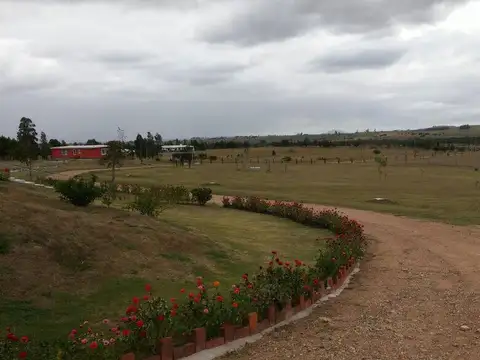 Chacra en San Carlos, Punta del Este, Maldonado, Uruguay