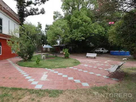 Belgrano al 1500