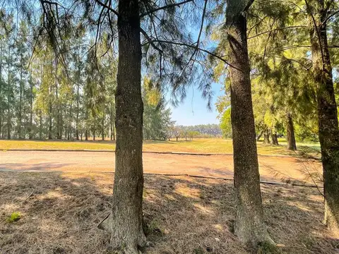 Ruta Provincial 21 Km 25