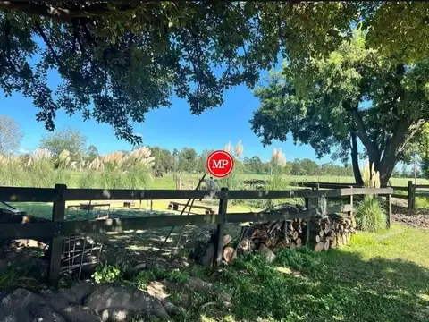 10 Hectáreas En Pilar M147v