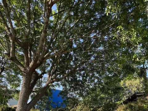 Terreno - Venta - Argentina, Berazategui