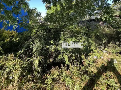 Terreno en Venta en Ranelagh, USD 46.000