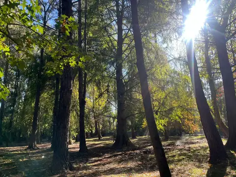 Lote en Venta, Quinta El Recuerdo,  en el Delta, Arroyo Toro, Tigre, GBA Norte