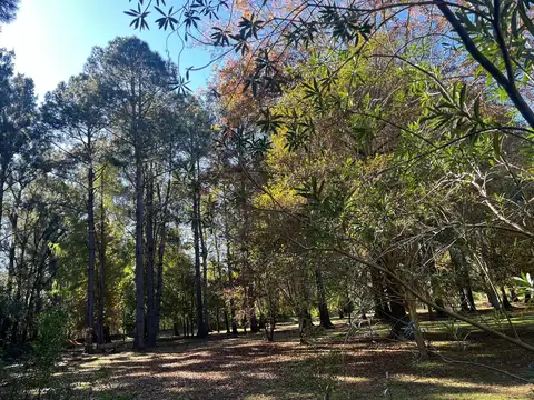 Terreno en Venta en Toro, USD 55.000