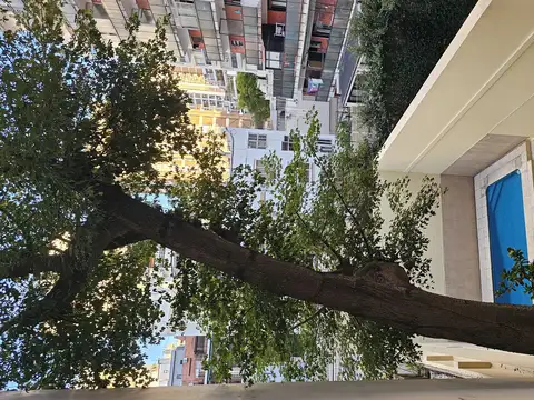 La Pampa 2500, Piso 3