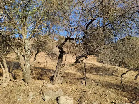 Terreno en Venta de 1689,0 m2