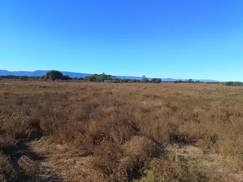 CAMPO MIXTO 91 HECTAREAS VILLA LARCA SAN LUIS