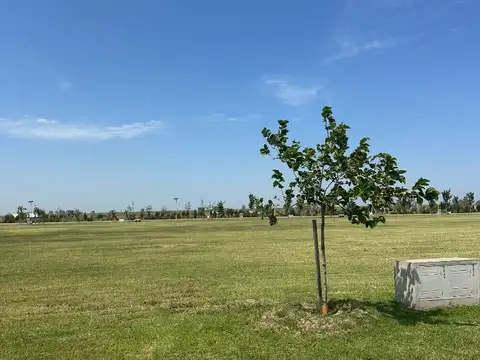 Terreno en Venta de 1025,0 m2