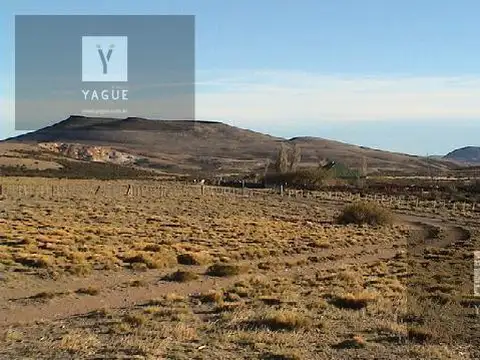Campo - Gobernador Gregores