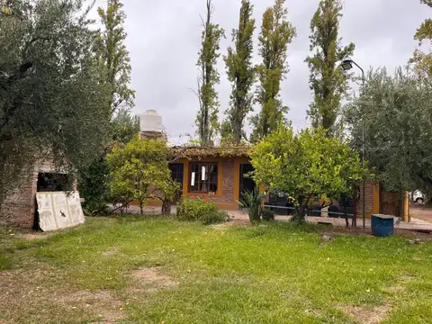 Tropero Sosa 2800