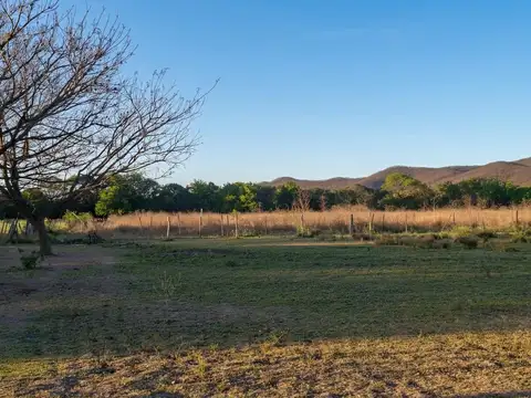 Terreno en Venta de 77005,0 m2