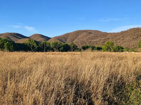Terreno en Venta 236  mts Fondo