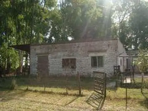 Las Flores, 15 ha