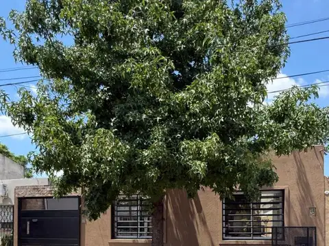 Los Alamos 100