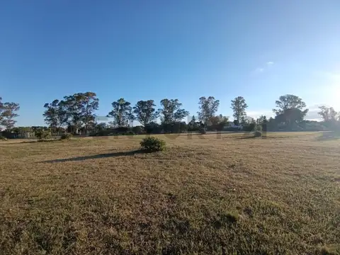Terreno en Venta de 10000,0 m2