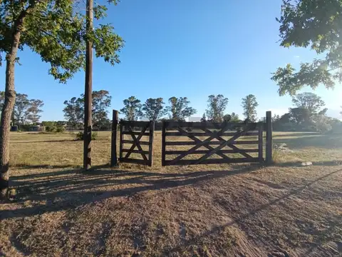 Lote de 1 hectárea plano en Campos del Virrey — el más grande disponible del barrio