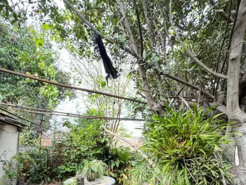 DEPTO TIPO CASA EN VENTA VICENTE LOPEZ 2257 AVELLANEDA