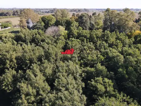 Campo en Venta de 2  ha