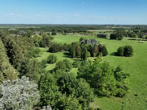 23 Has. Chacra parquizada en La Rinconada