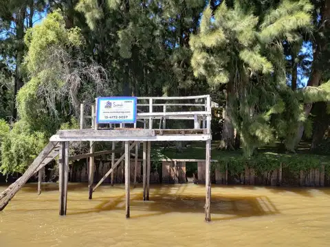 Rio / Arroyo Paraná de Las Palmas lindero lote CON PLAYA 100