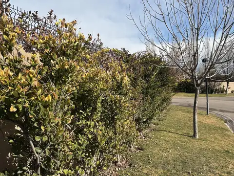 Casa en Alquiler de 4 dormitorios