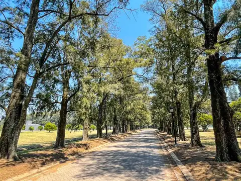 Terreno en Venta en Fighiera, USD 69.000