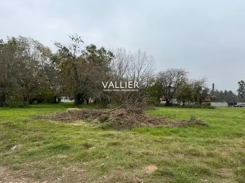 Terreno en Venta de 17000,0 m2