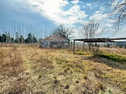 Hectáreas a minutos de Autovía Nacional RN14