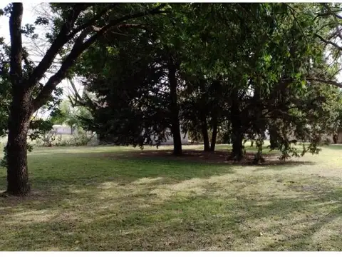 Terrenos a la venta en la localidad de Susana, Santa Fe