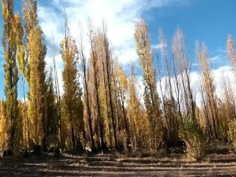 TERRENO EN VENTA EN USPALLATA MENDOZA DE 20HA