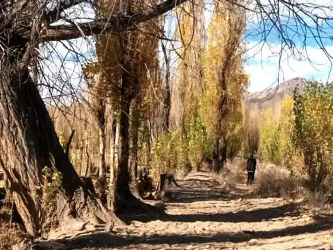 Terreno en Venta en Uspallata, USD 507.000