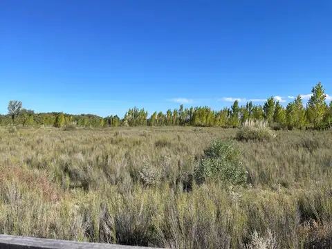 Terreno en El Totoral