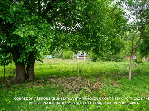 Terreno  Lote en venta de 333m2 en Burzaco Zona en pleno crecimiento Destacado