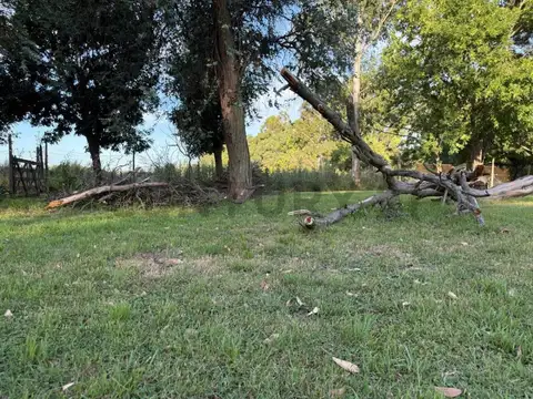 25 & 610