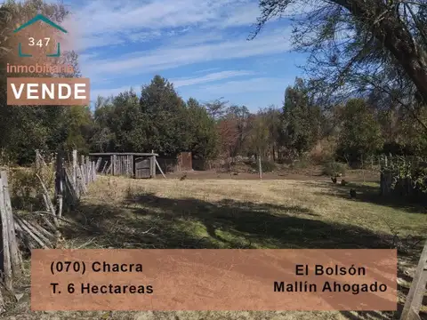 (070) Bolsón (Mallín Ahogado) Chacra de 6 Has