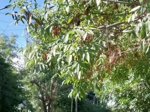 Terreno en Venta en Benavidez, USD 65.000