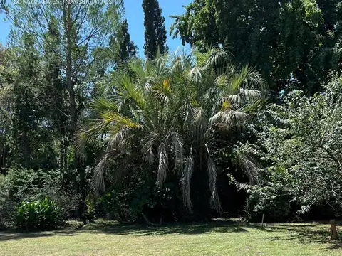 Terreno en Venta en General las Heras, USD 83.000