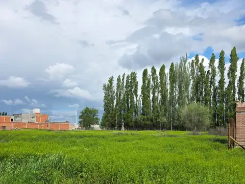 Terreno en Venta en Neuquén, USD 43.000