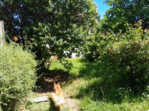 Casa en Venta 20 años